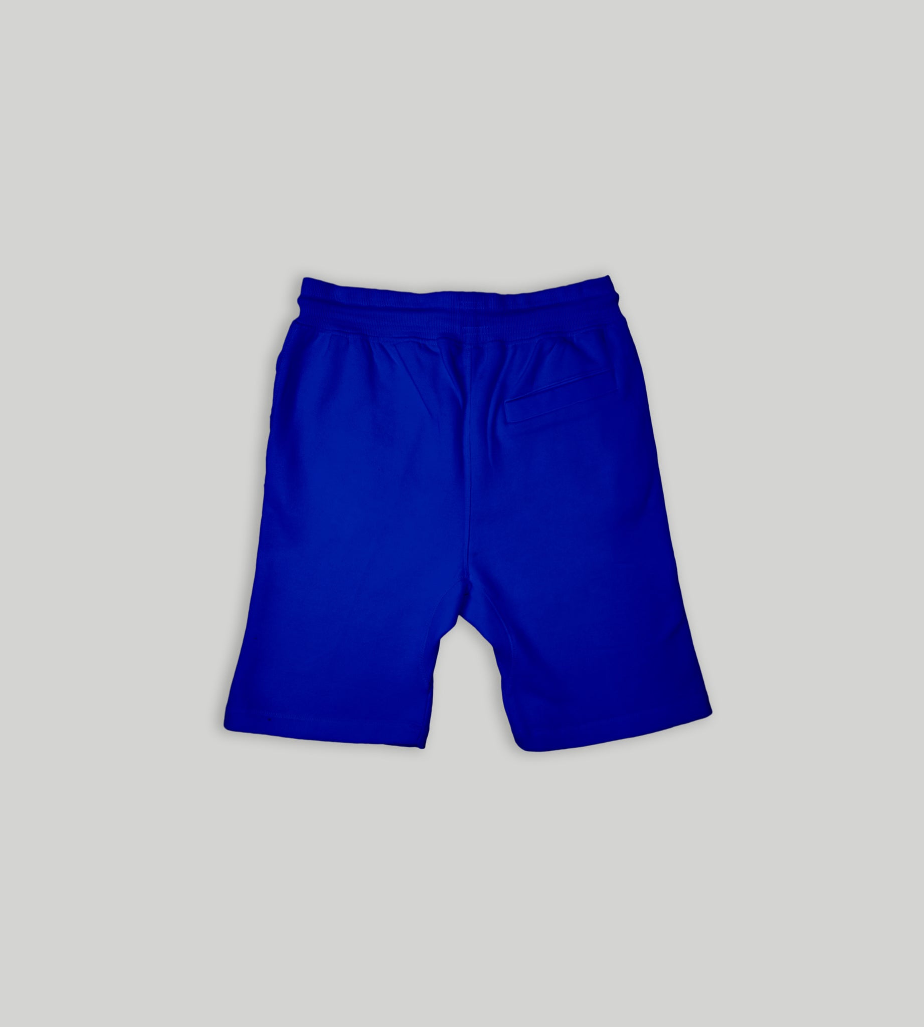 Blue Fleece Shorts